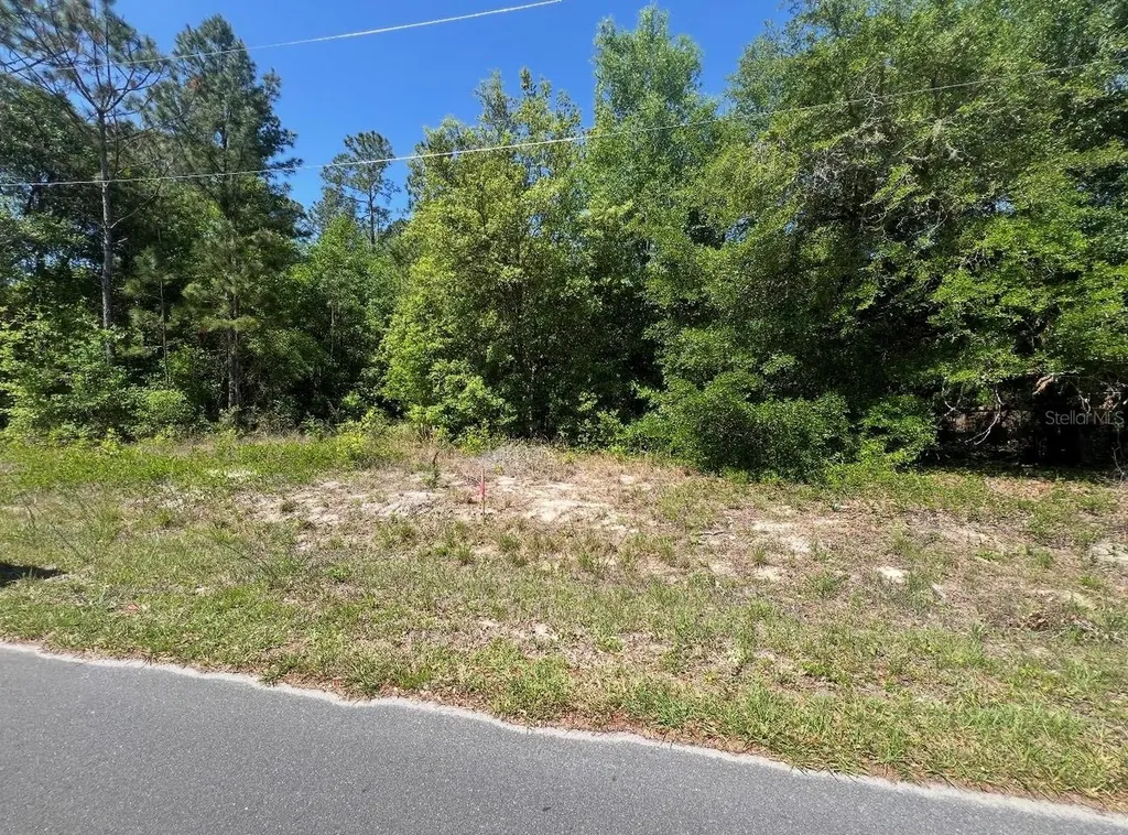 Tbd Locust Course Radial Lot 20 Ocala FL 34472