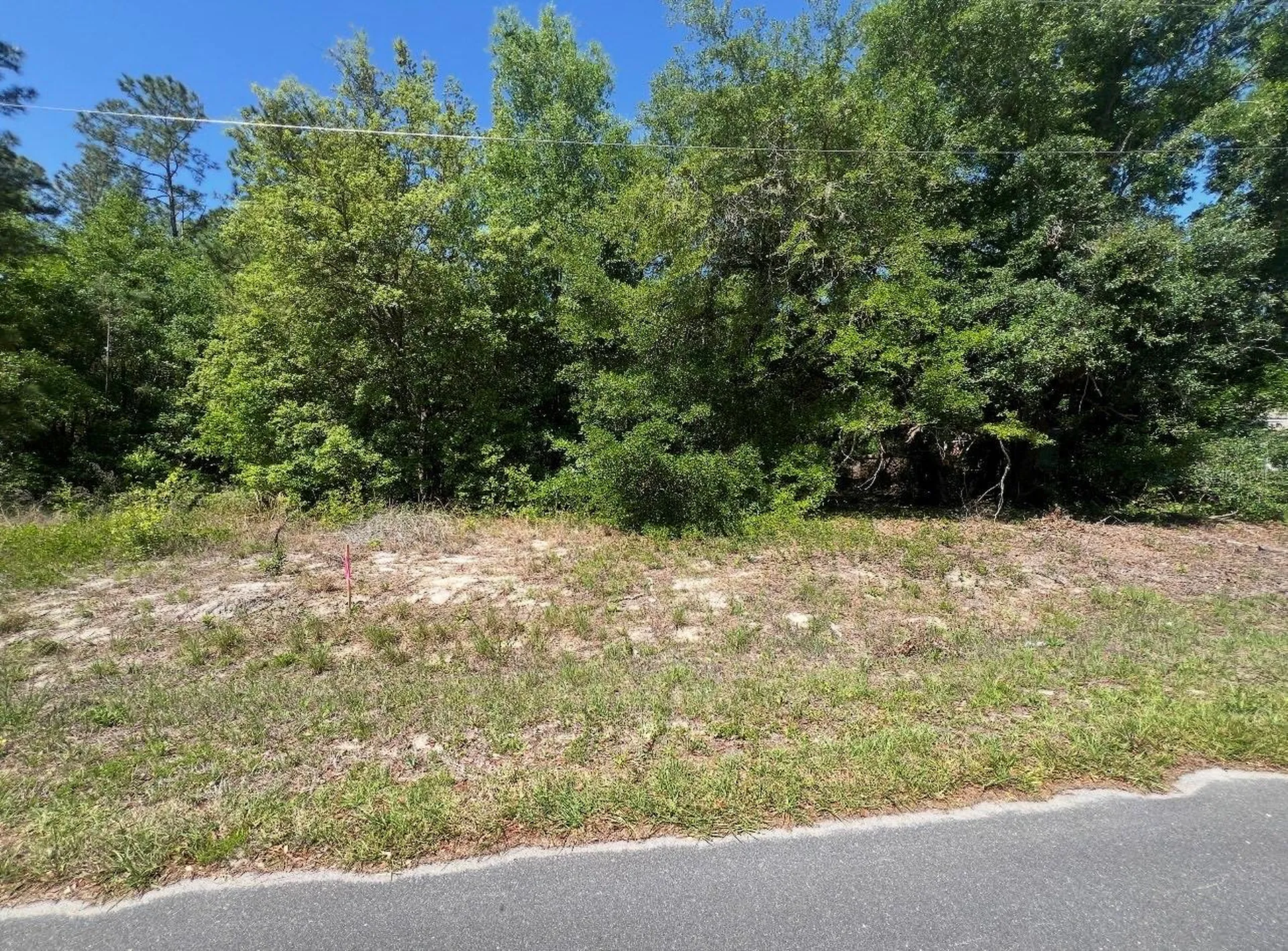 Tbd Locust Course Radial Lot 20 Ocala FL 34472