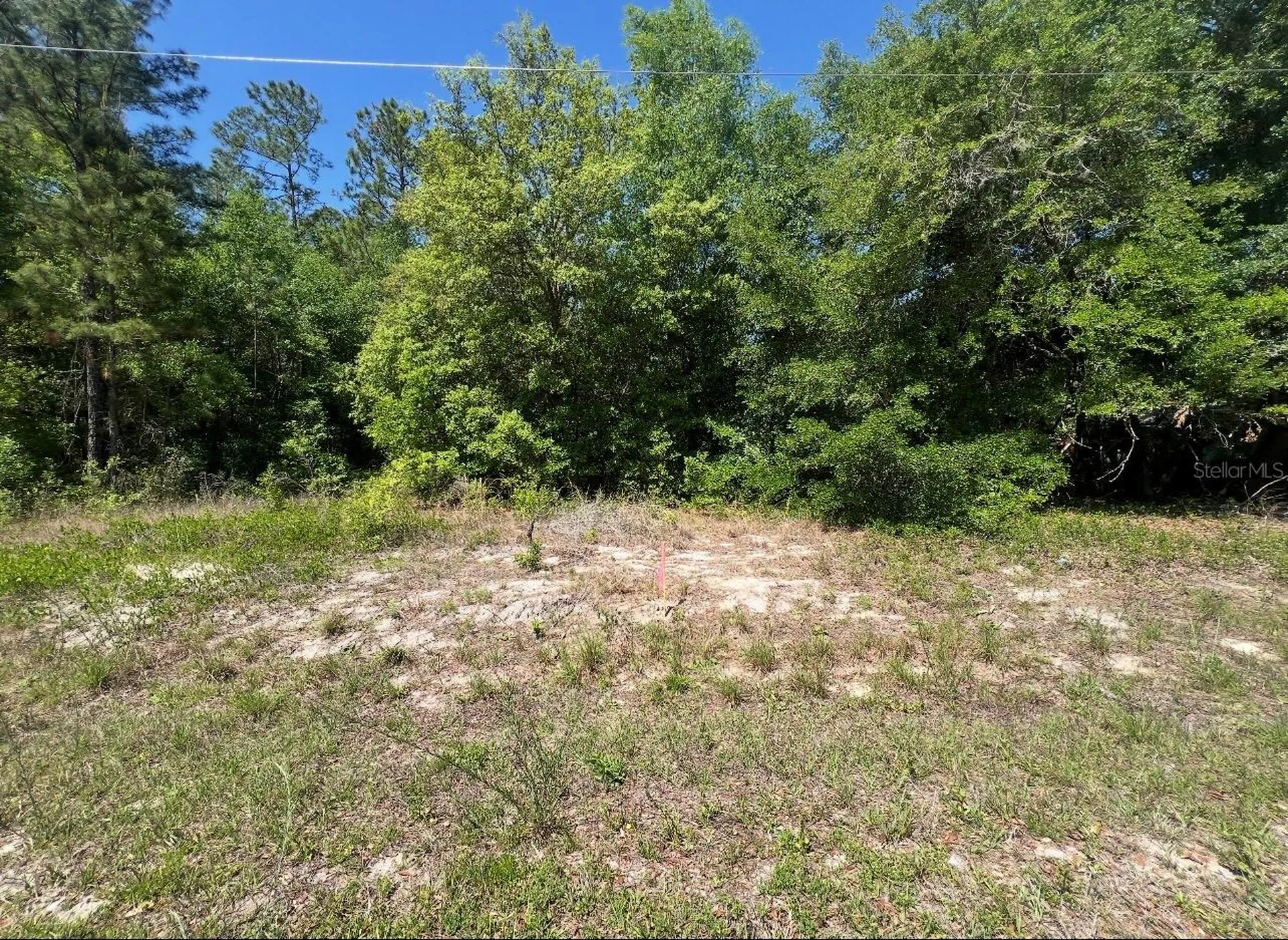 Tbd Locust Course Radial Lot 20 Ocala FL 34472