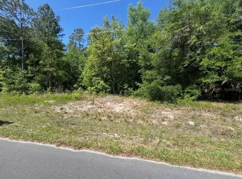 Tbd Locust Course Radial Lot 20 Ocala FL 34472
