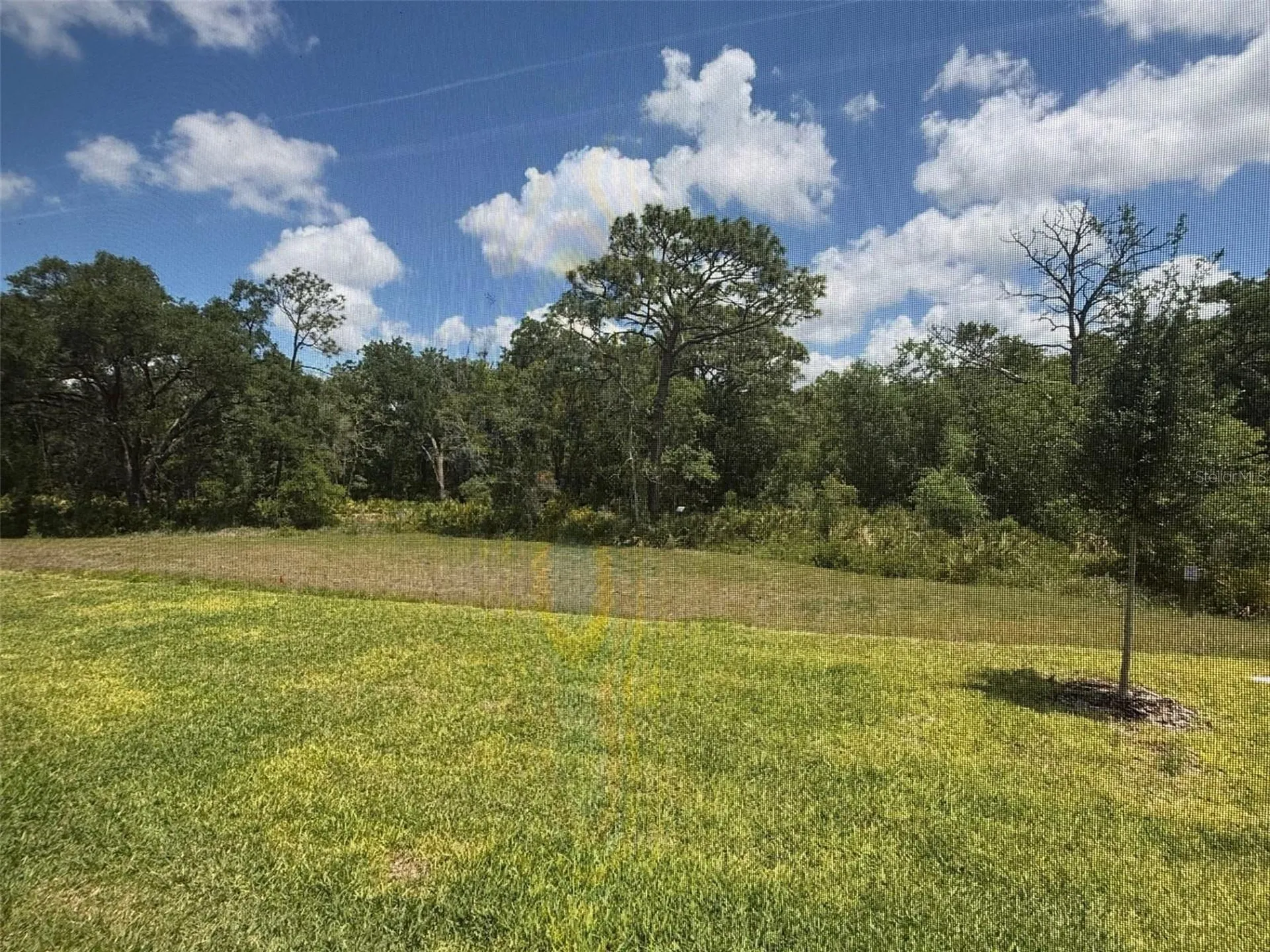 13660 Canyon Ridge Road Spring Hill FL 34610