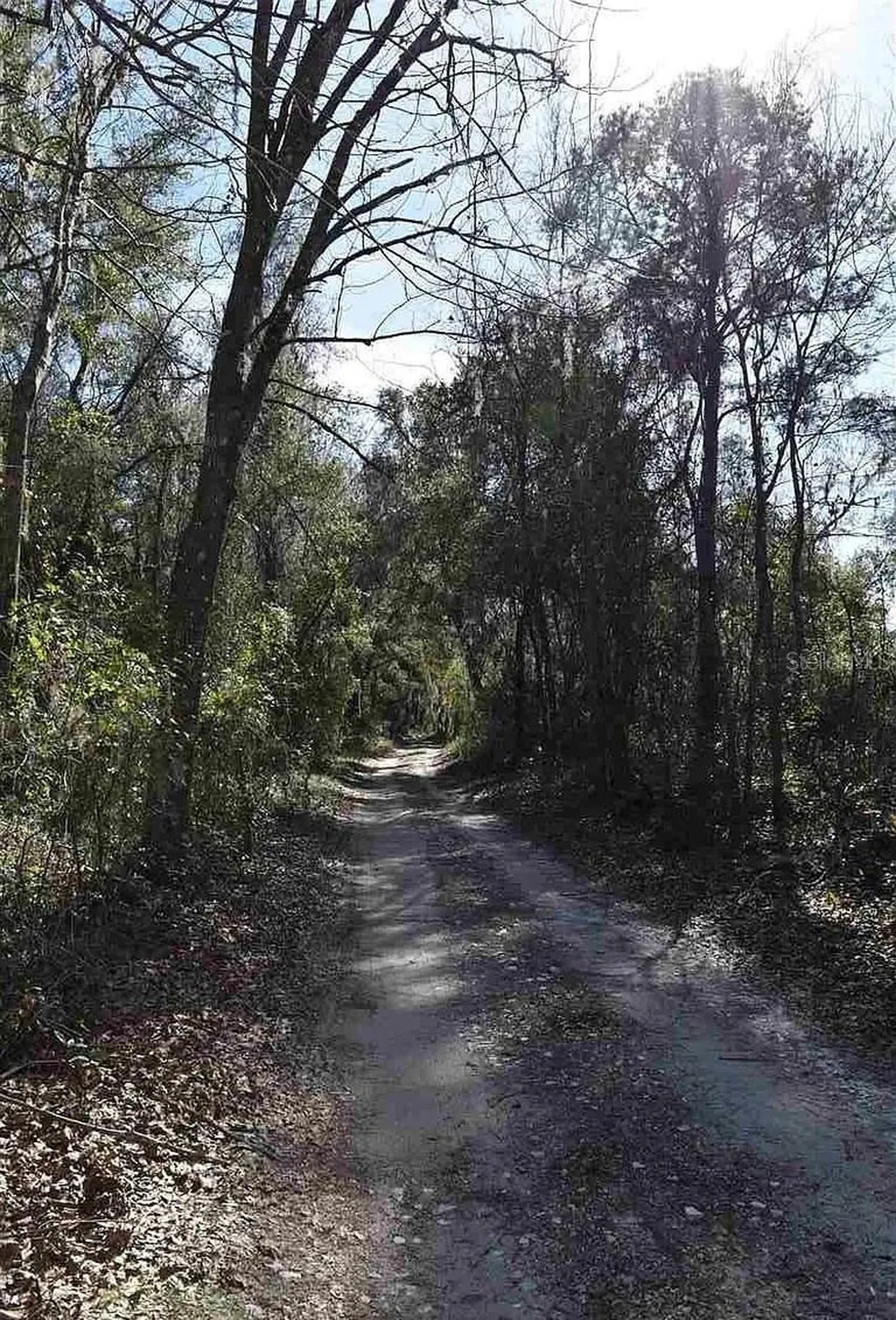 1123 NW 192nd Avenue Gainesville FL 32609