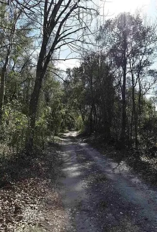 1123 NW 192nd Avenue Gainesville FL 32609