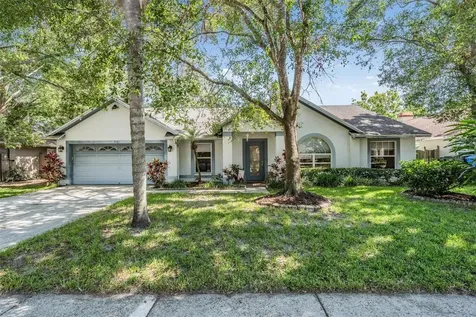 5423 Windbrush Drive Tampa FL 33625