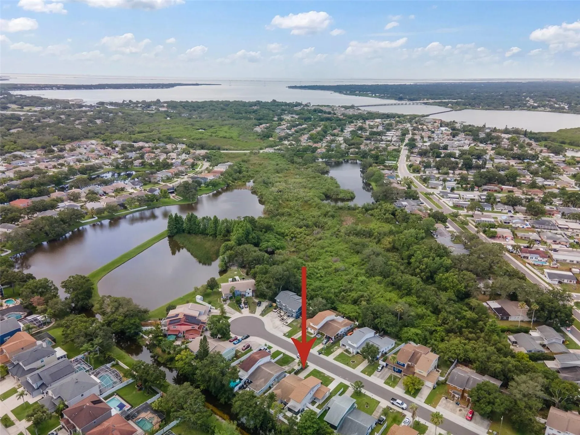 1712 Azalea Court Oldsmar FL 34677