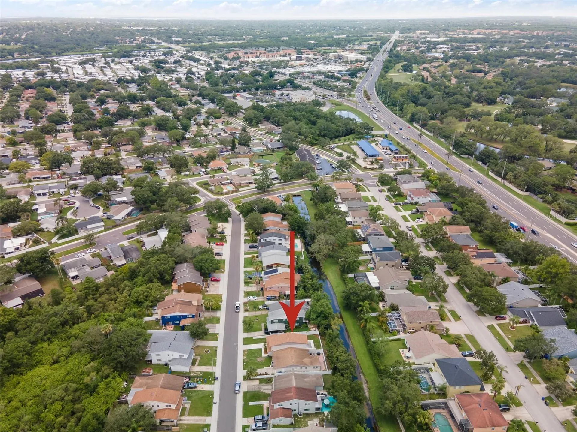 1712 Azalea Court Oldsmar FL 34677