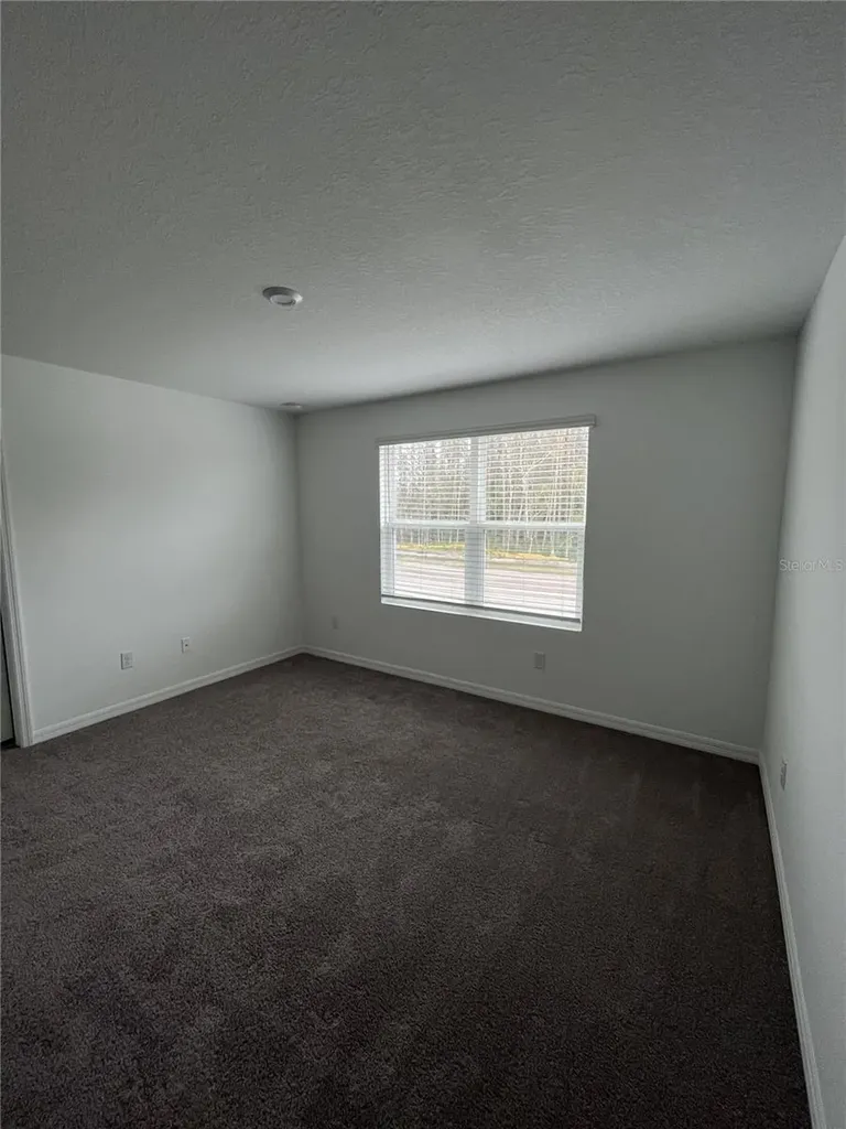 34142 Polacca Lane Wesley Chapel FL 33543