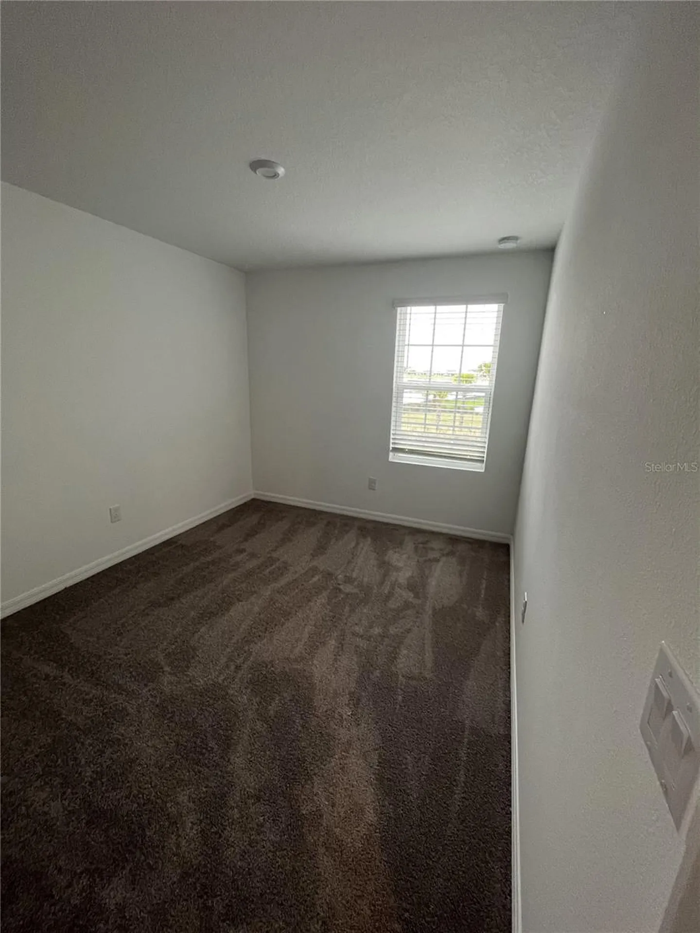 34142 Polacca Lane Wesley Chapel FL 33543