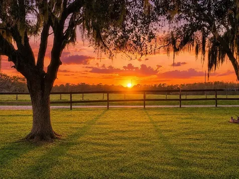 12651 SE County Road 337 Dunnellon FL 34431