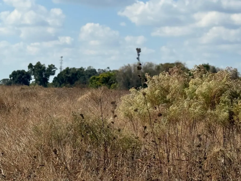 12828 Fort King Highway Thonotosassa FL 33592