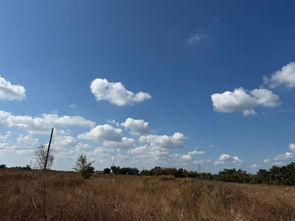 12828 Fort King Highway Thonotosassa FL 33592