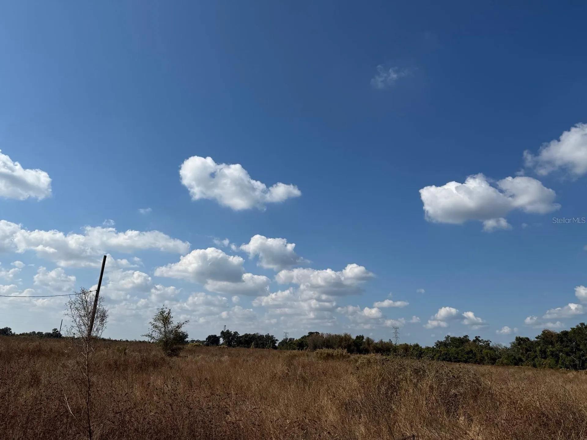 12828 Fort King Highway Thonotosassa FL 33592