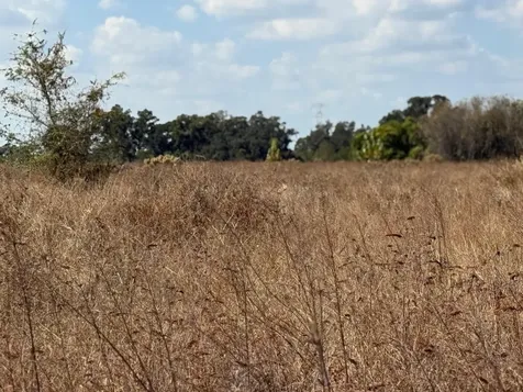 12828 Fort King Highway Thonotosassa FL 33592