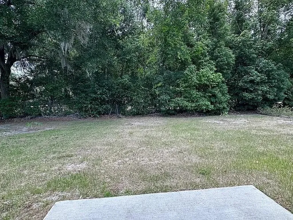 1737 N Lakewood Avenue Ocoee FL 34761