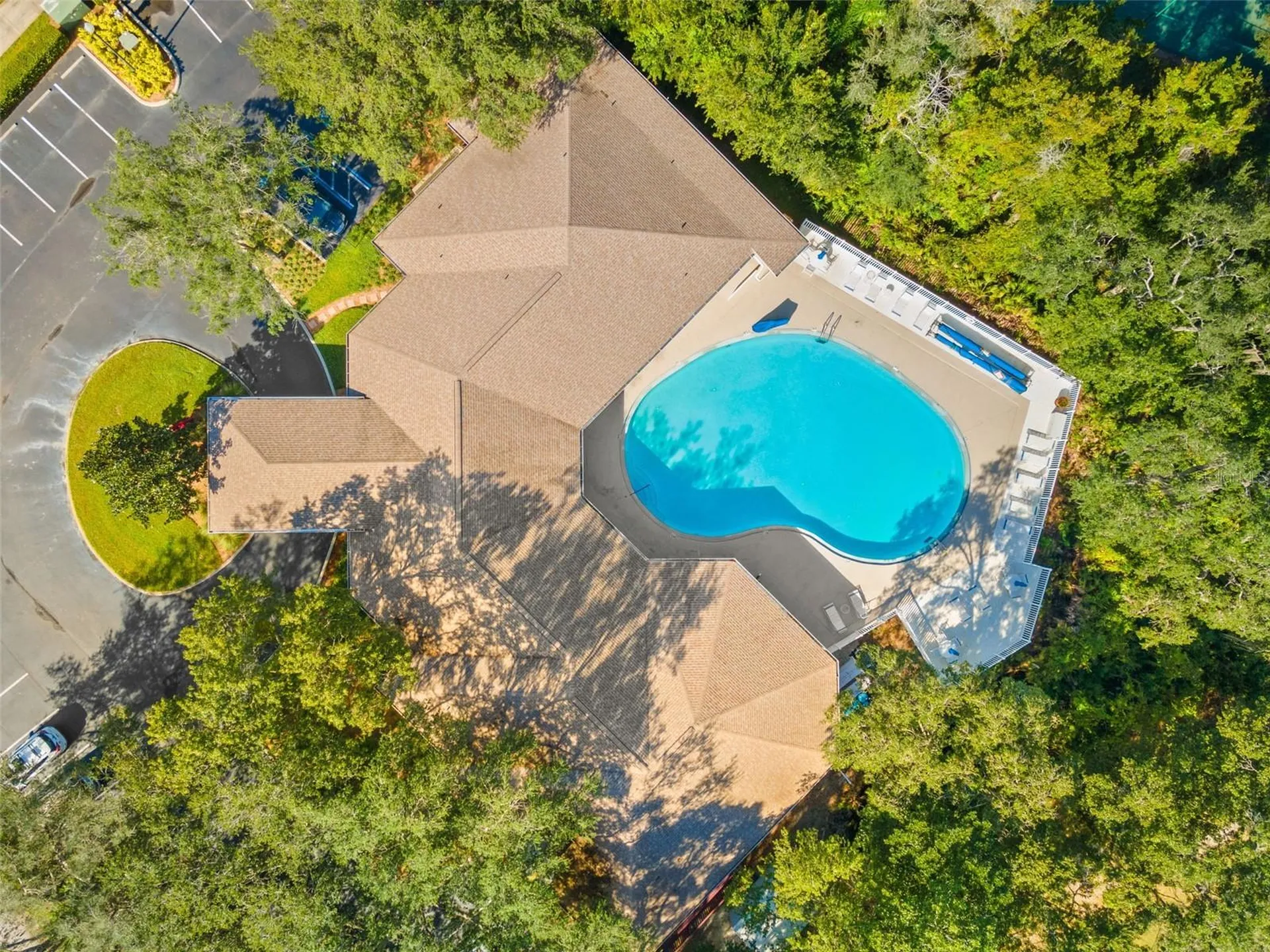 34811 Arbor Green Place Zephyrhills FL 33541