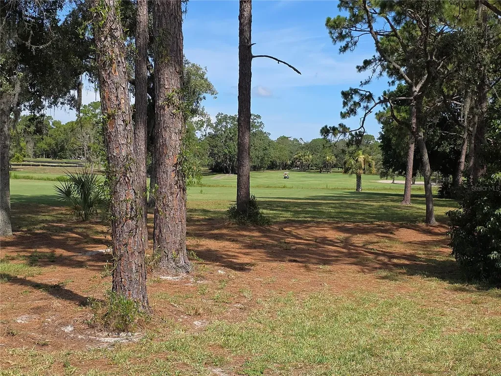 9168 Southern Comfort Court Weeki Wachee FL 34613