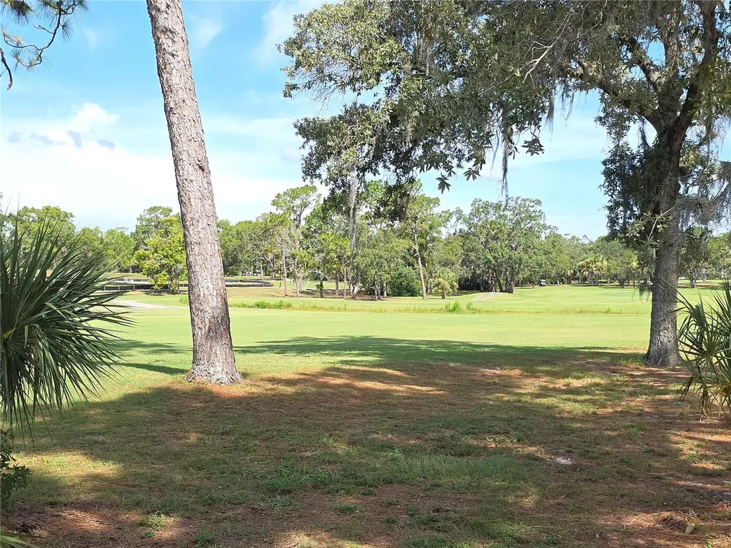 9168 Southern Comfort Court Weeki Wachee FL 34613