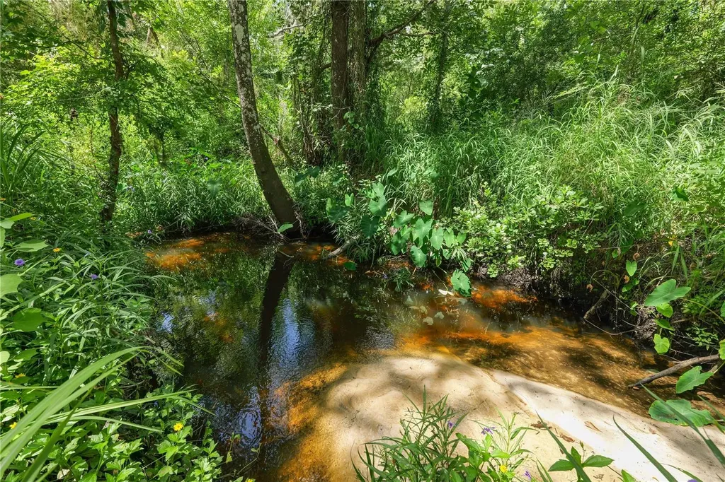 6325 Oakview Lane Lakeland FL 33811