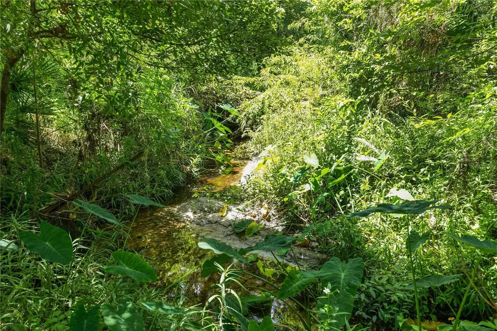 6325 Oakview Lane Lakeland FL 33811