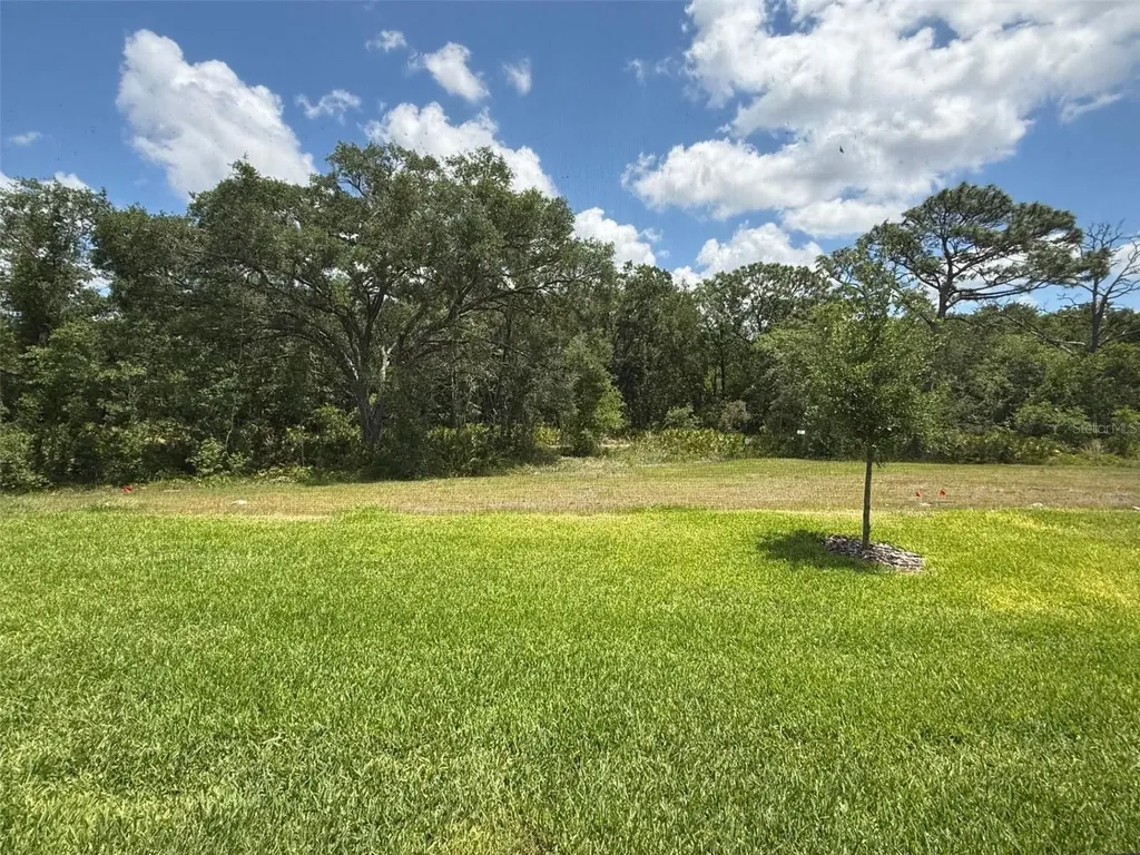 13682 Canyon Ridge Road Spring Hill FL 34610
