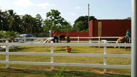 181 Street Urb. Kennedy Hills Trujillo Alto PR 00976