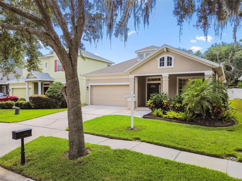 13310 Tiger Lilly Lane Tampa FL 33625