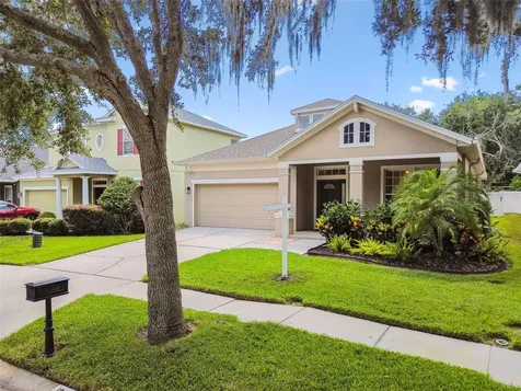 13310 Tiger Lilly Lane Tampa FL 33625