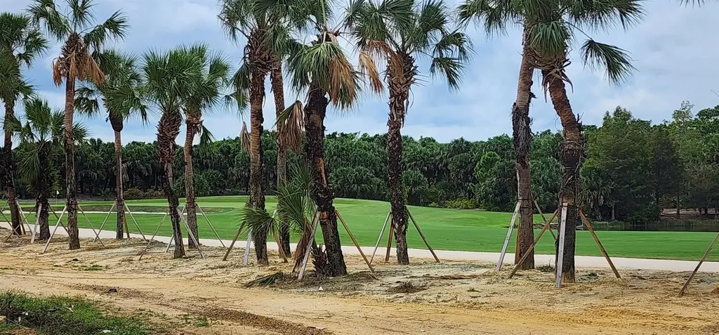 19062 Via Messina Way Miromar Lakes FL 33913