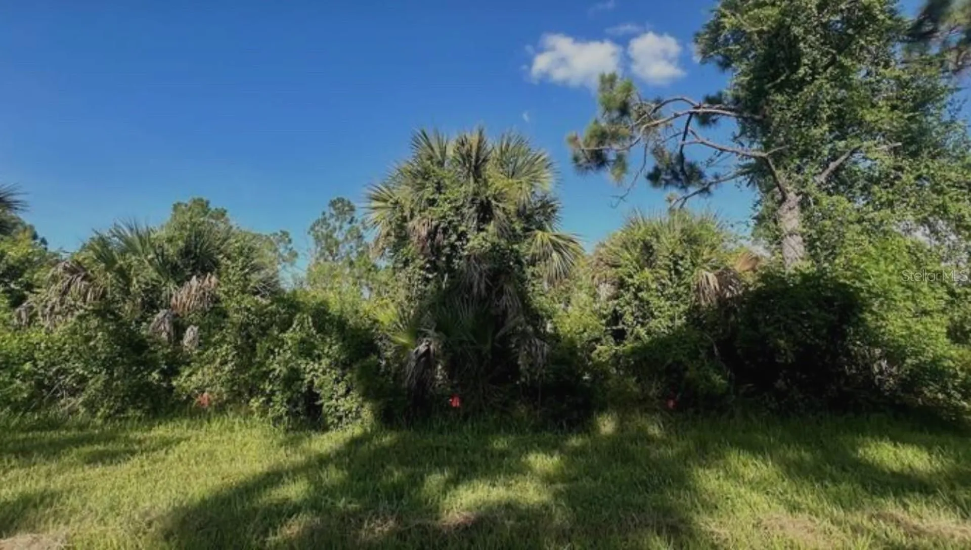 2071 Lingayen Street Port Charlotte FL 33953