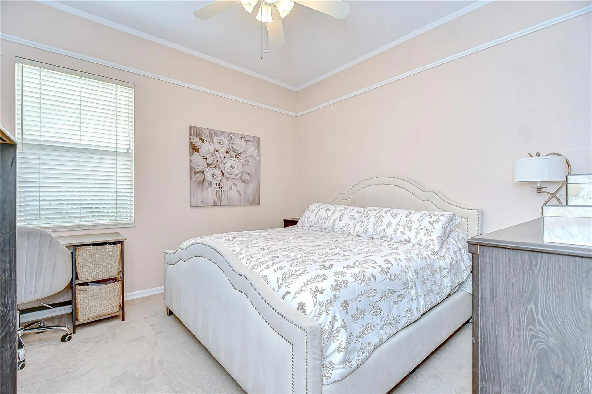 19307 Wind Dancer Street Lutz FL 33558