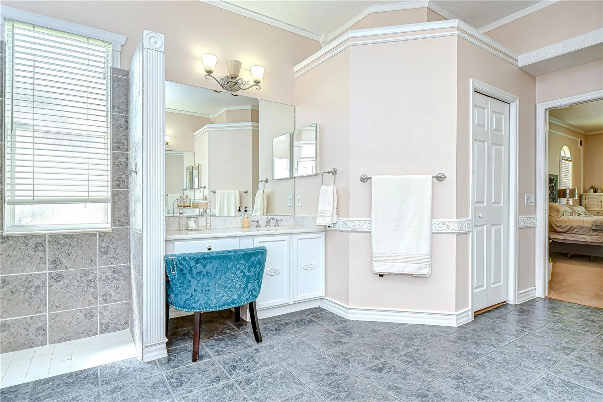 19307 Wind Dancer Street Lutz FL 33558