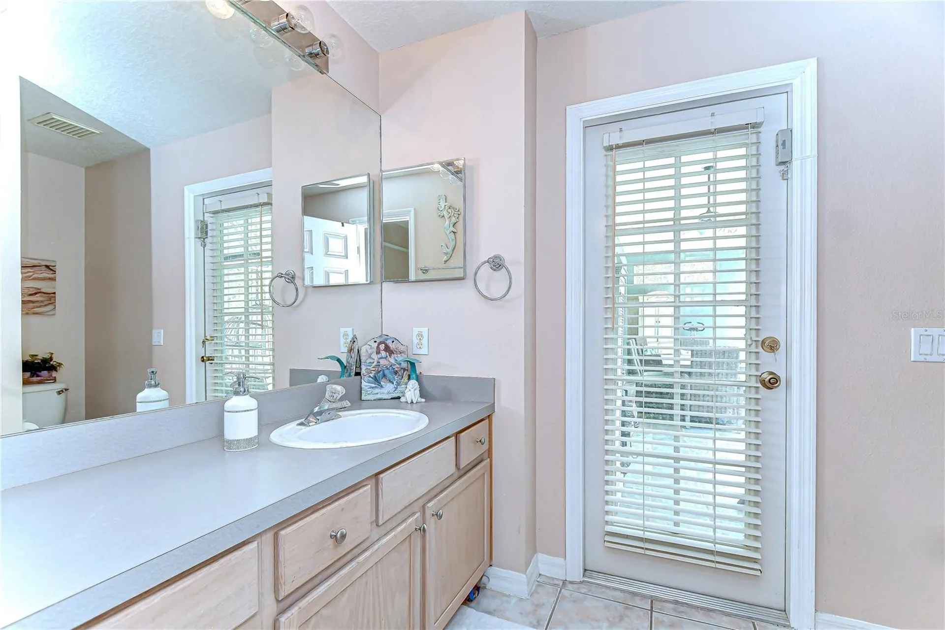 19307 Wind Dancer Street Lutz FL 33558