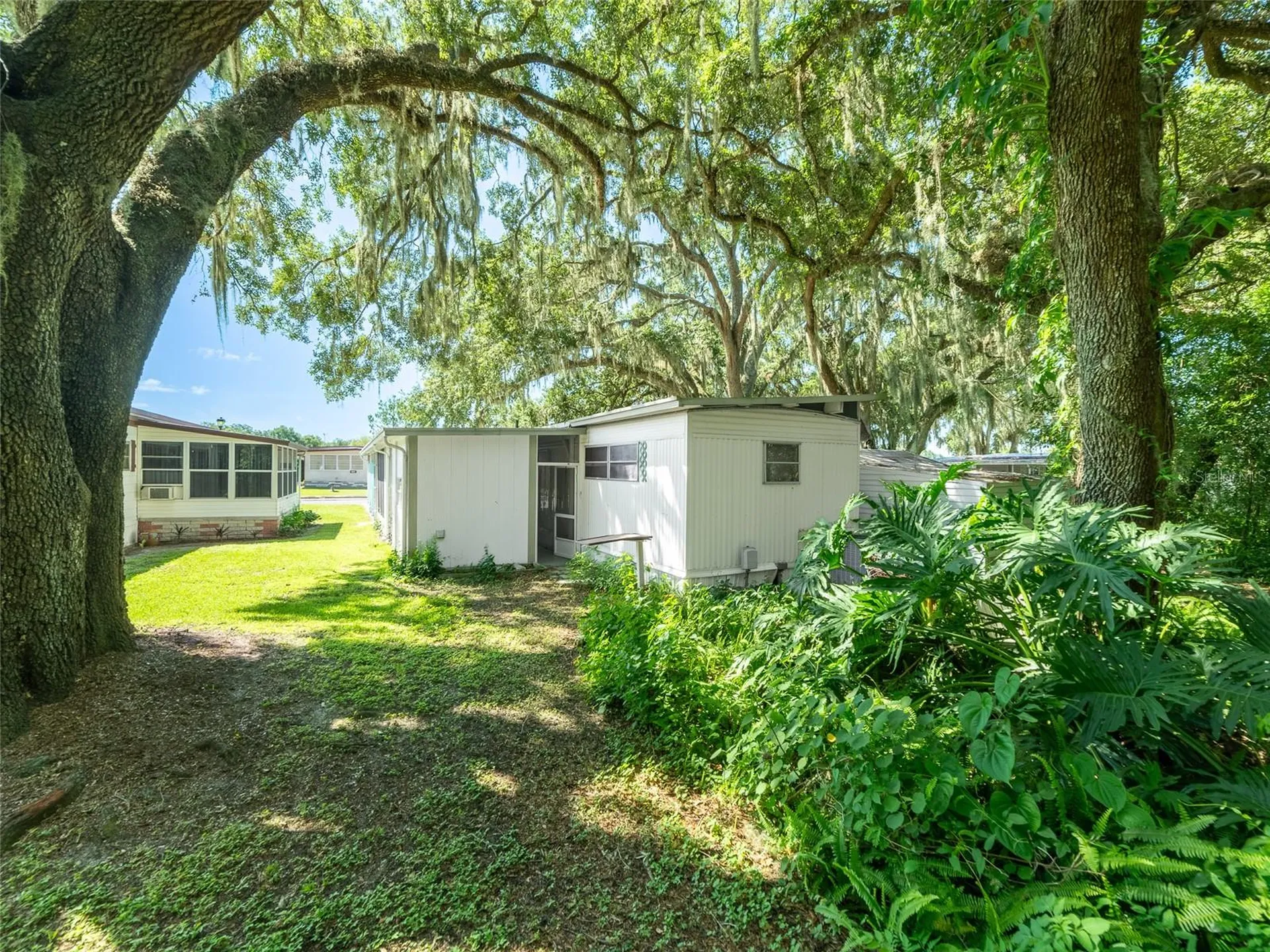 3753 Muller Drive Zephyrhills FL 33540