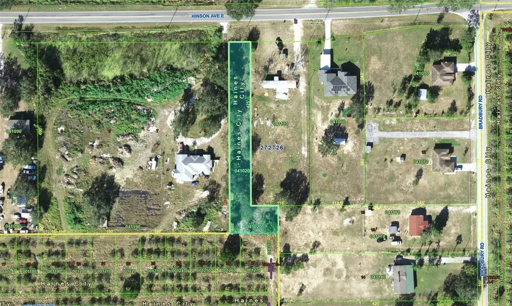 Hinson Avenue E Haines City FL 33844