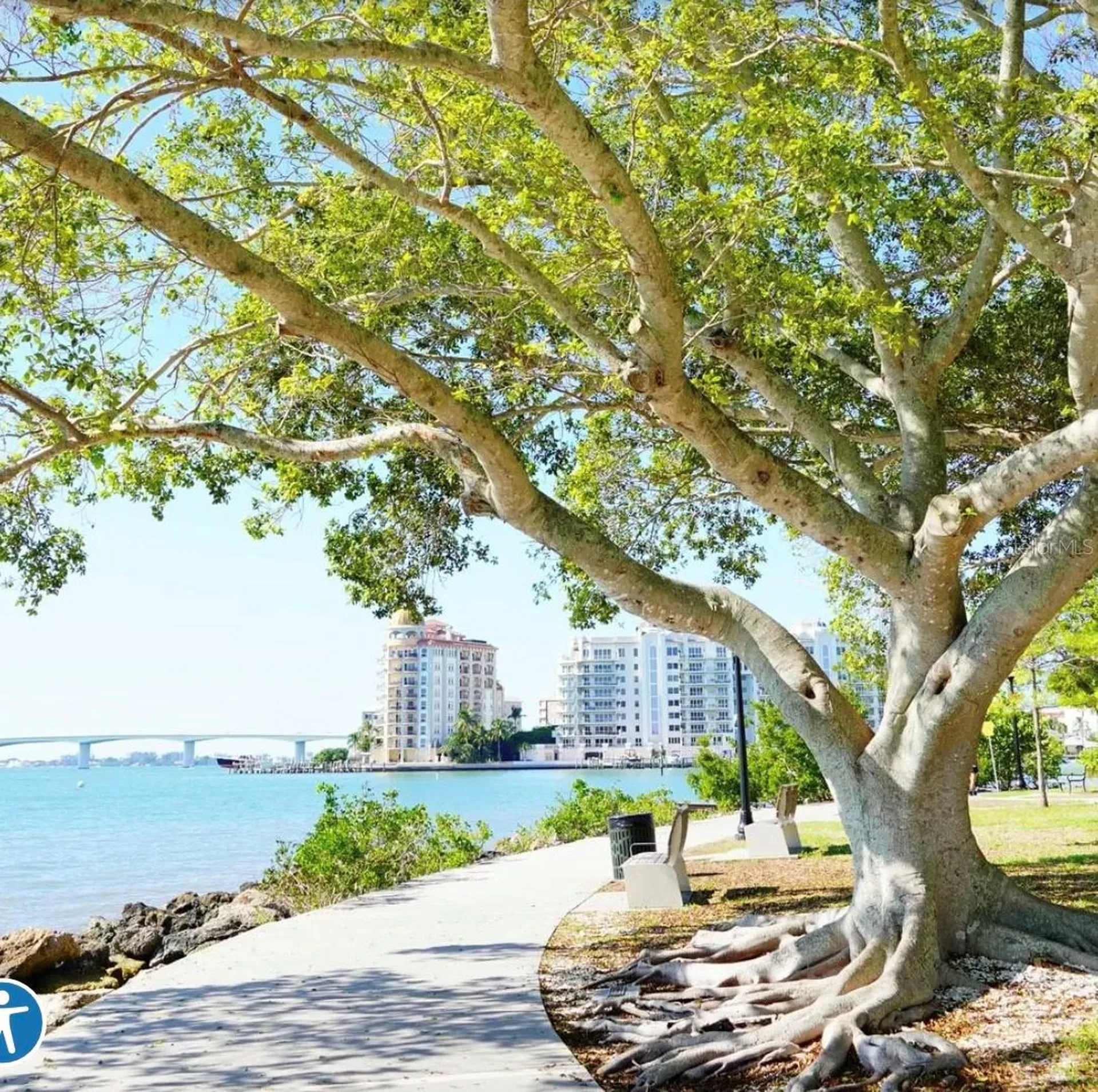 1659 2nd Street Sarasota FL 34236