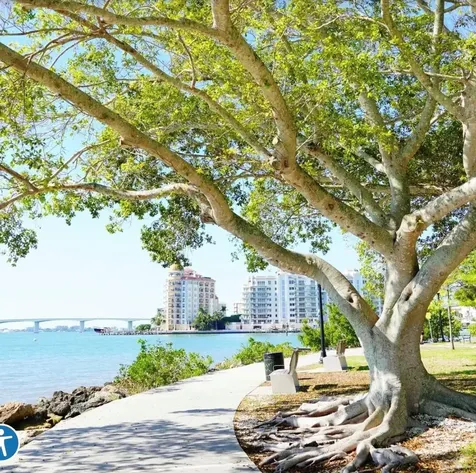 1659 2nd Street Sarasota FL 34236