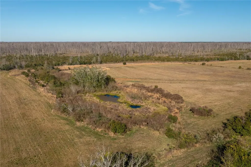 601 Diamond Acres Road Davenport FL 33837