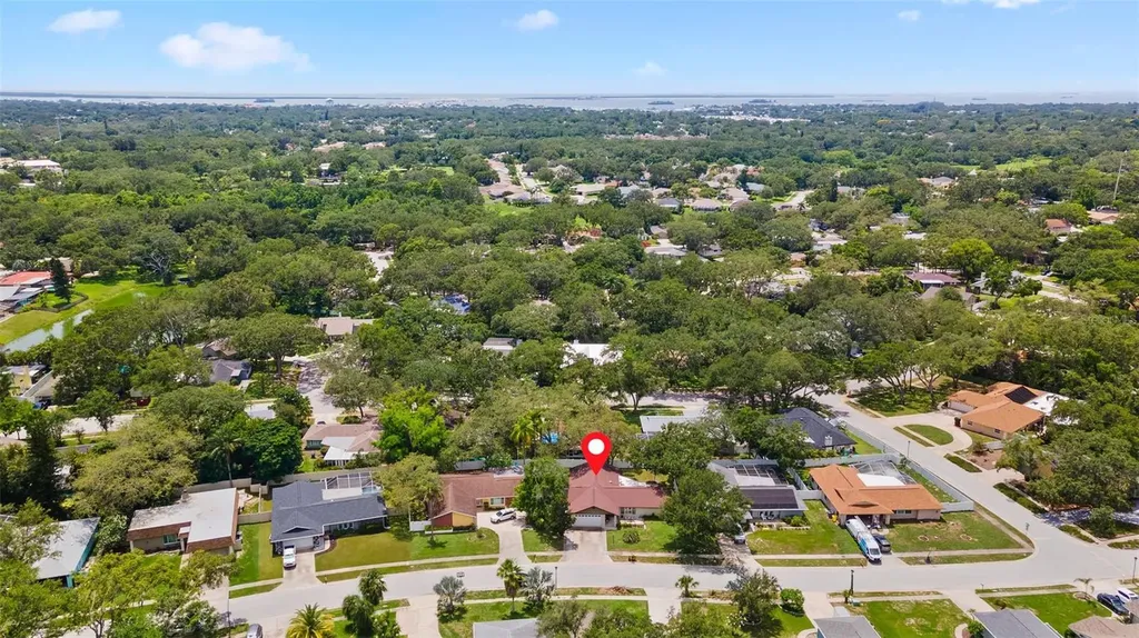 945 Winding Oaks Drive Palm Harbor FL 34683