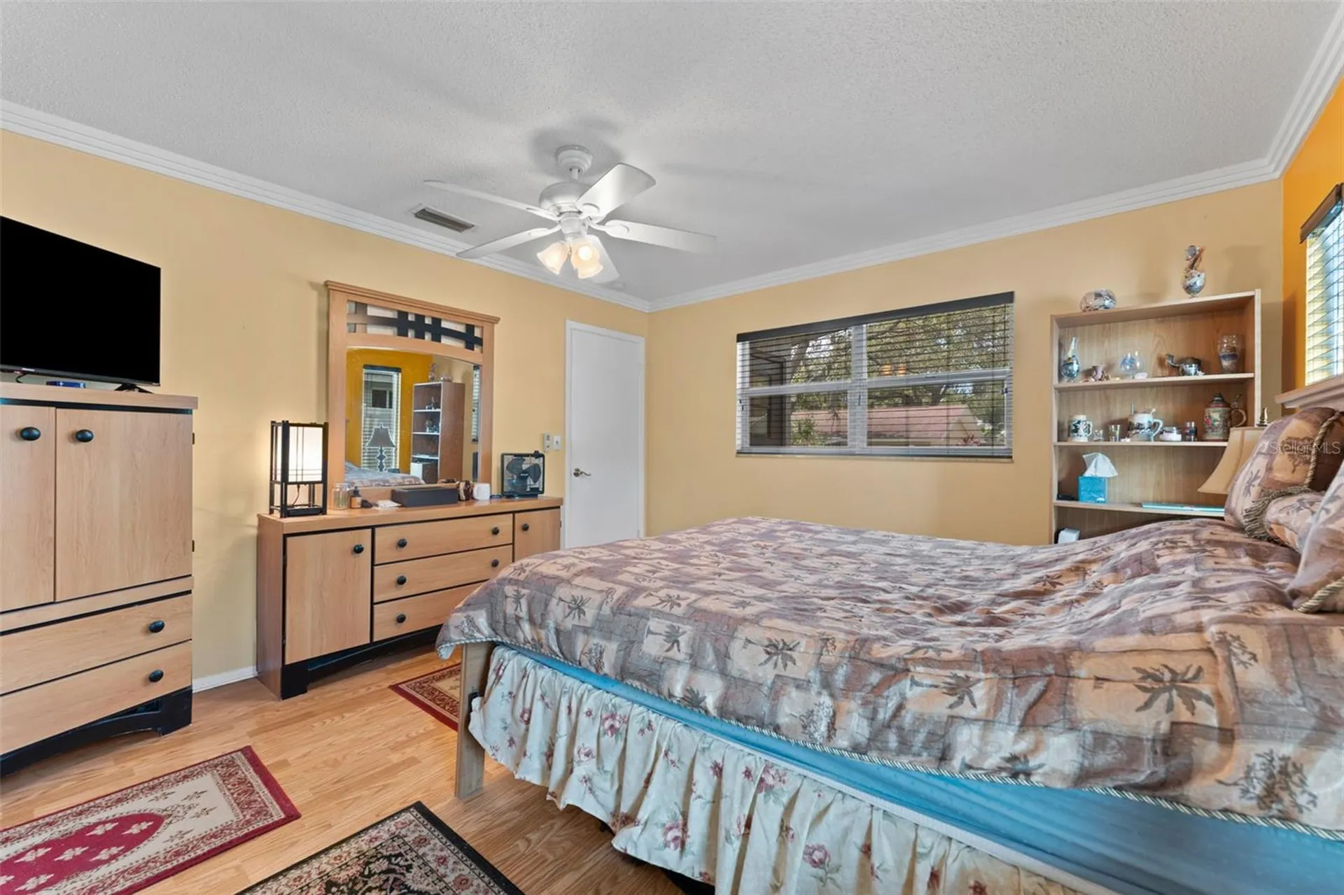 945 Winding Oaks Drive Palm Harbor FL 34683