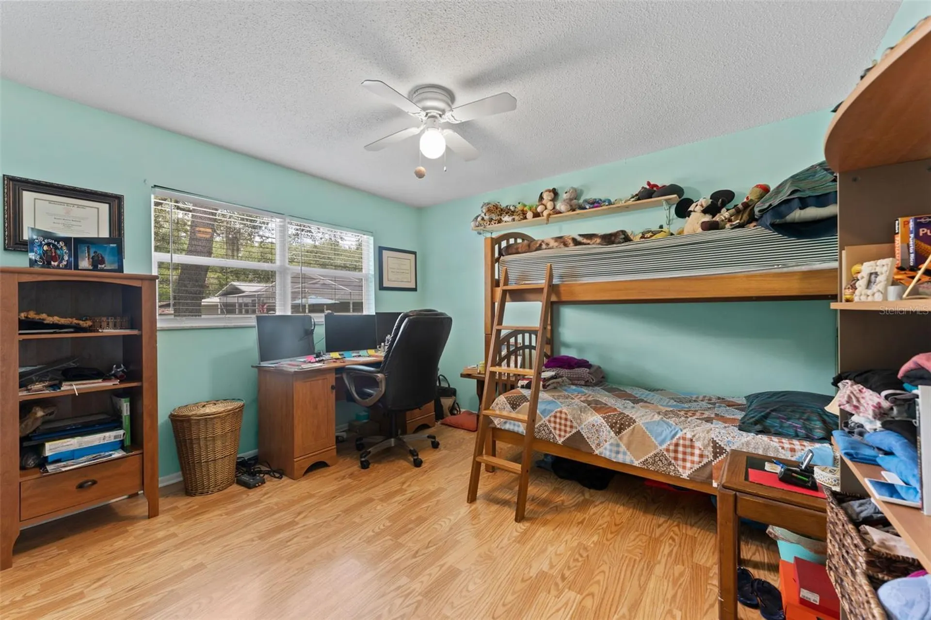 945 Winding Oaks Drive Palm Harbor FL 34683