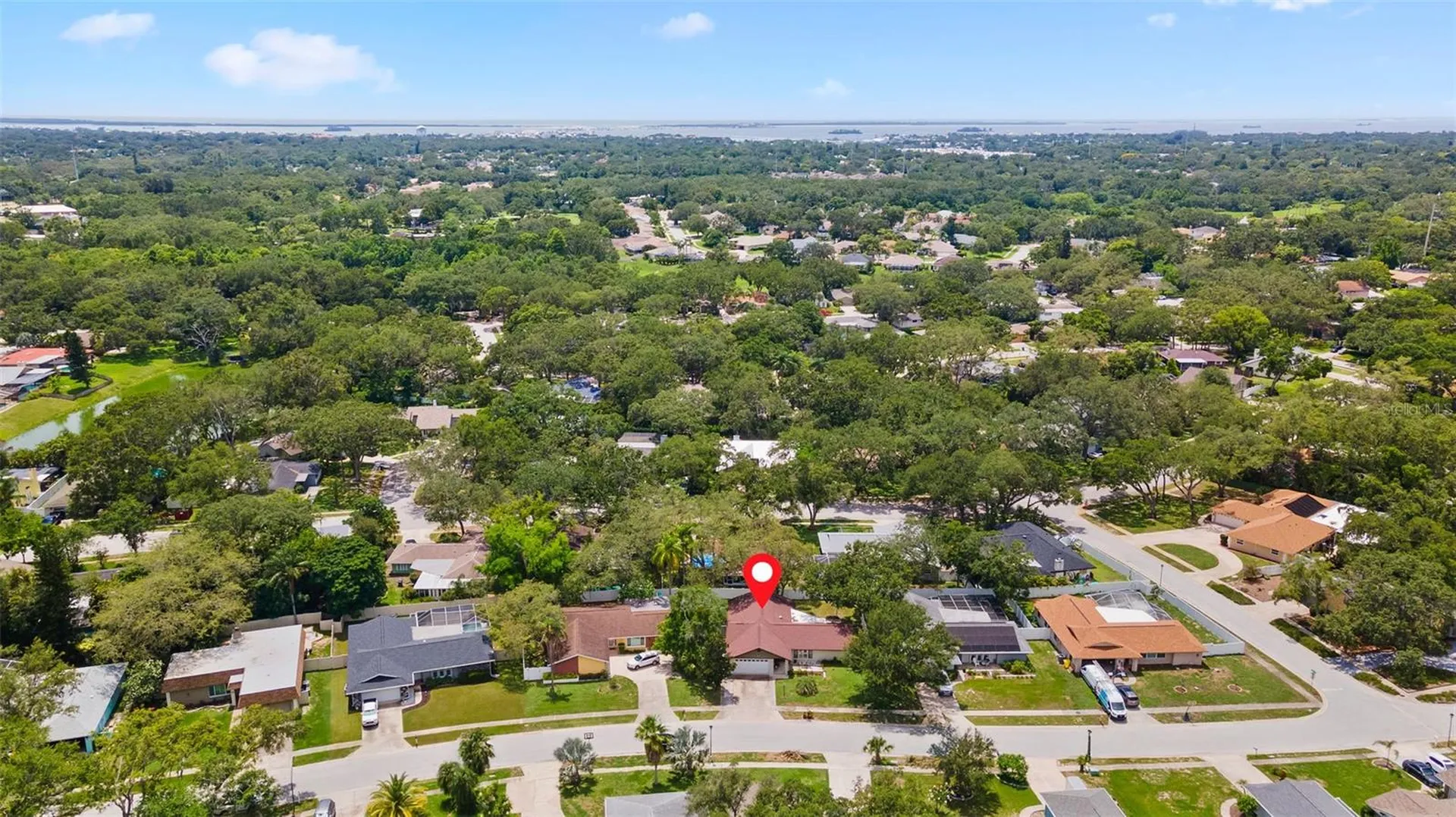 945 Winding Oaks Drive Palm Harbor FL 34683
