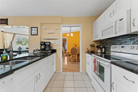 945 Winding Oaks Drive Palm Harbor FL 34683
