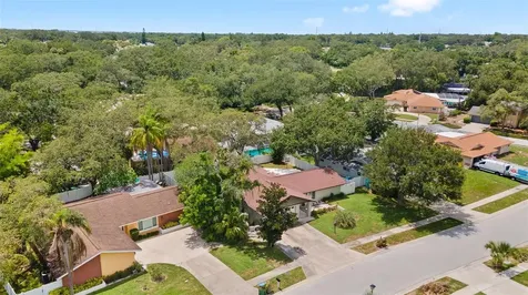 945 Winding Oaks Drive Palm Harbor FL 34683