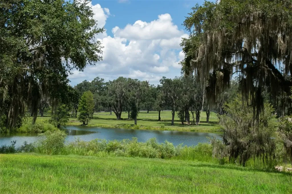 Tbd SE 157th Street Road Summerfield FL 34491