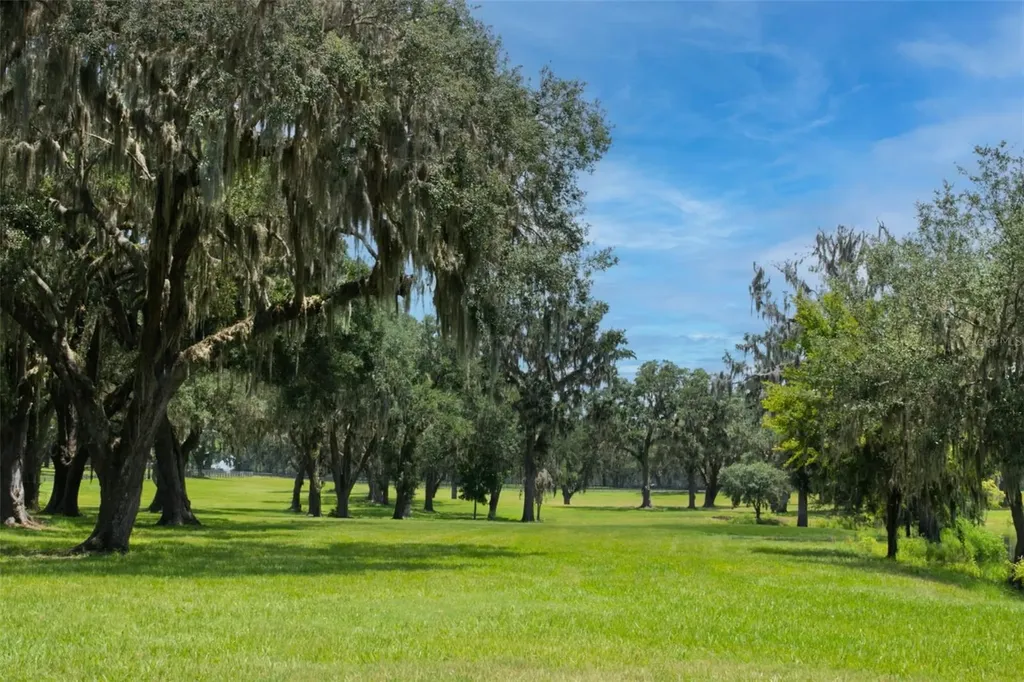 Tbd SE 157th Street Road Summerfield FL 34491