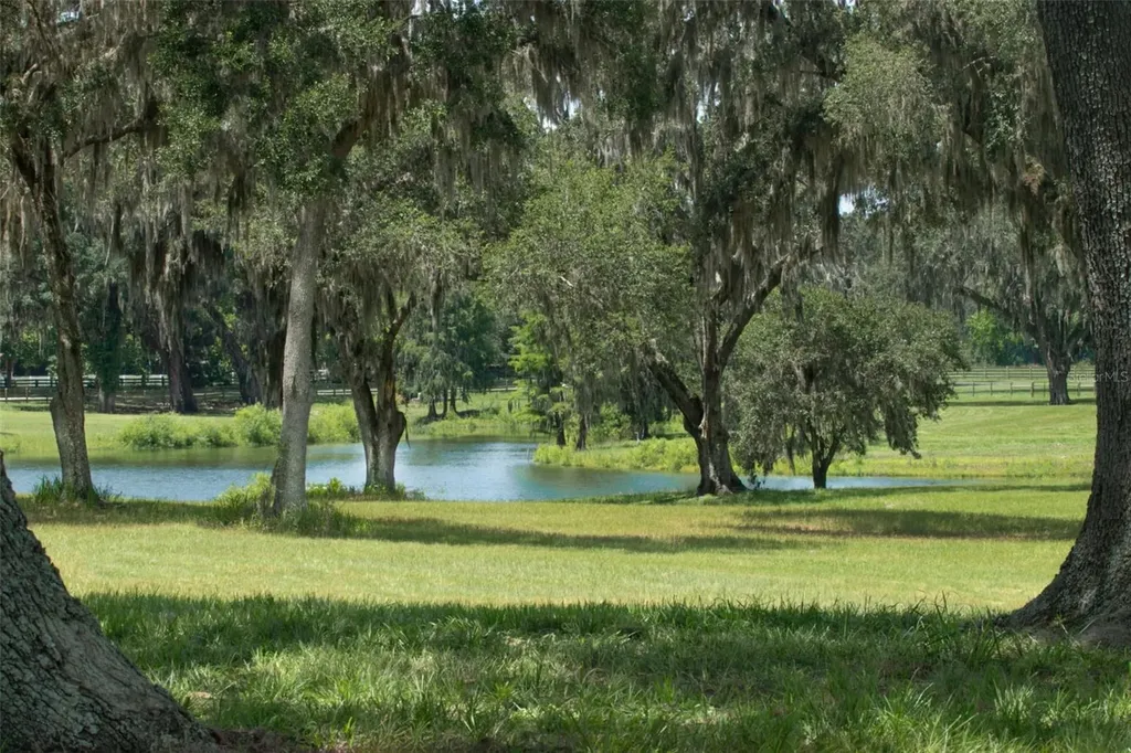 Tbd SE 157th Street Road Summerfield FL 34491