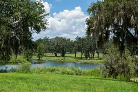 Tbd SE 157th Street Road Summerfield FL 34491