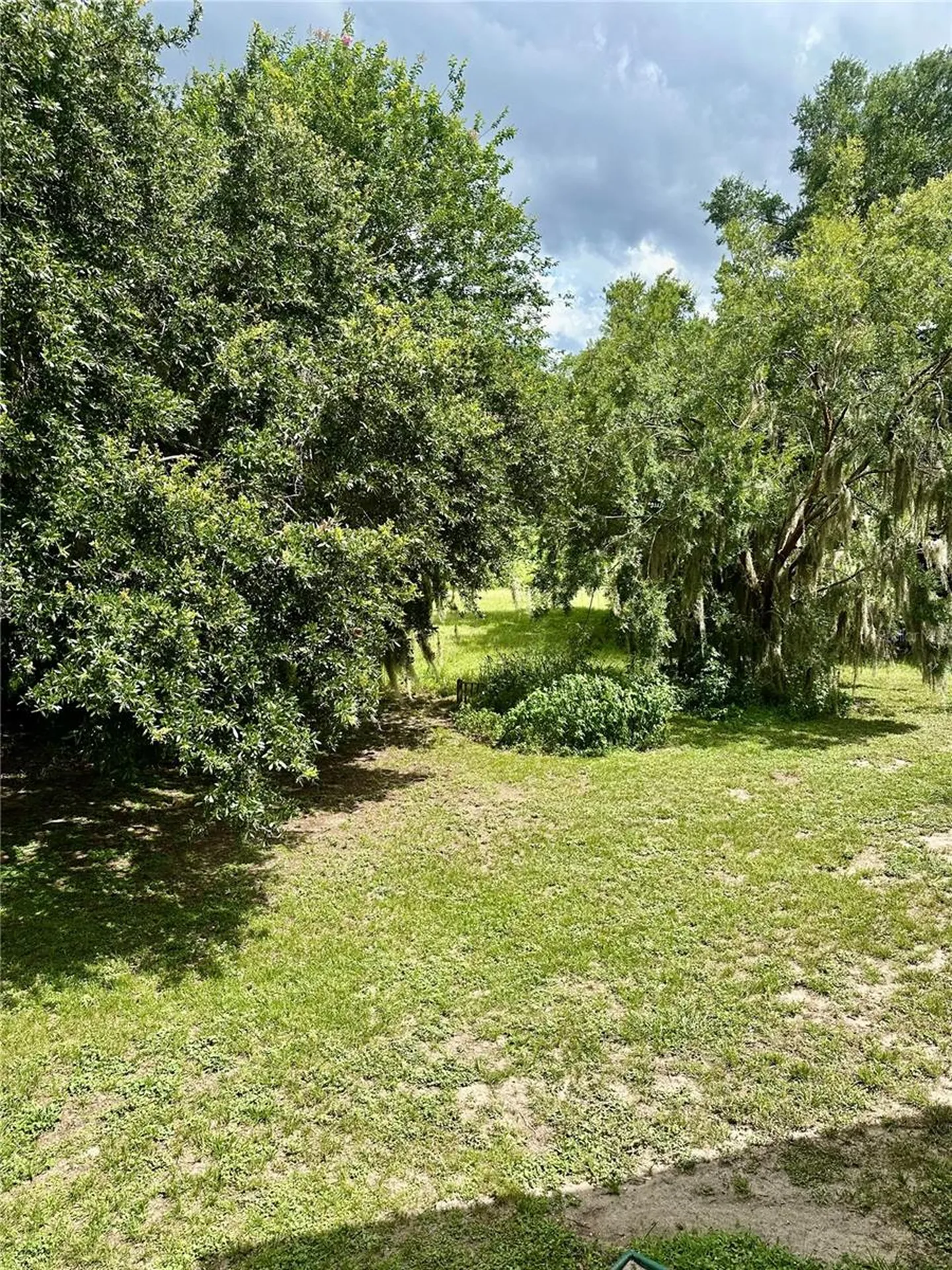 1096 Linkside Court Apopka FL 32712