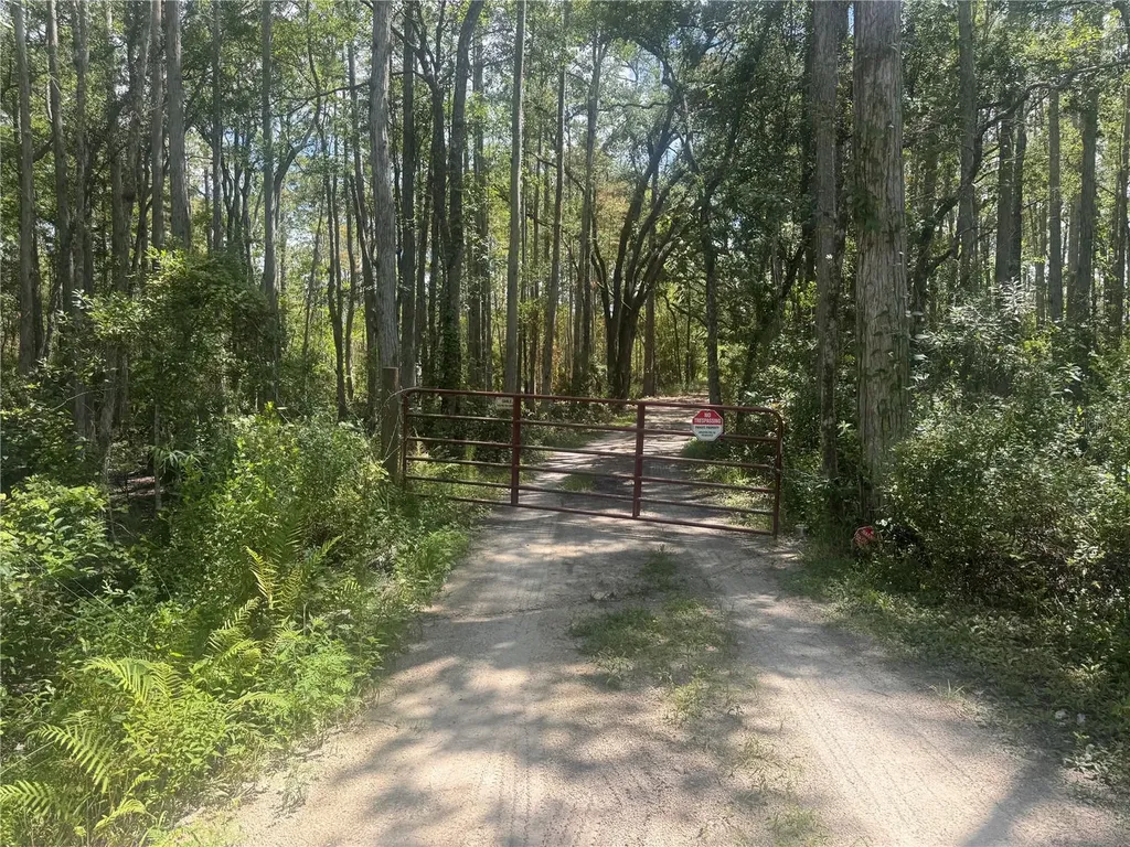 4678 Gum Road New Smyrna Beach FL 32168