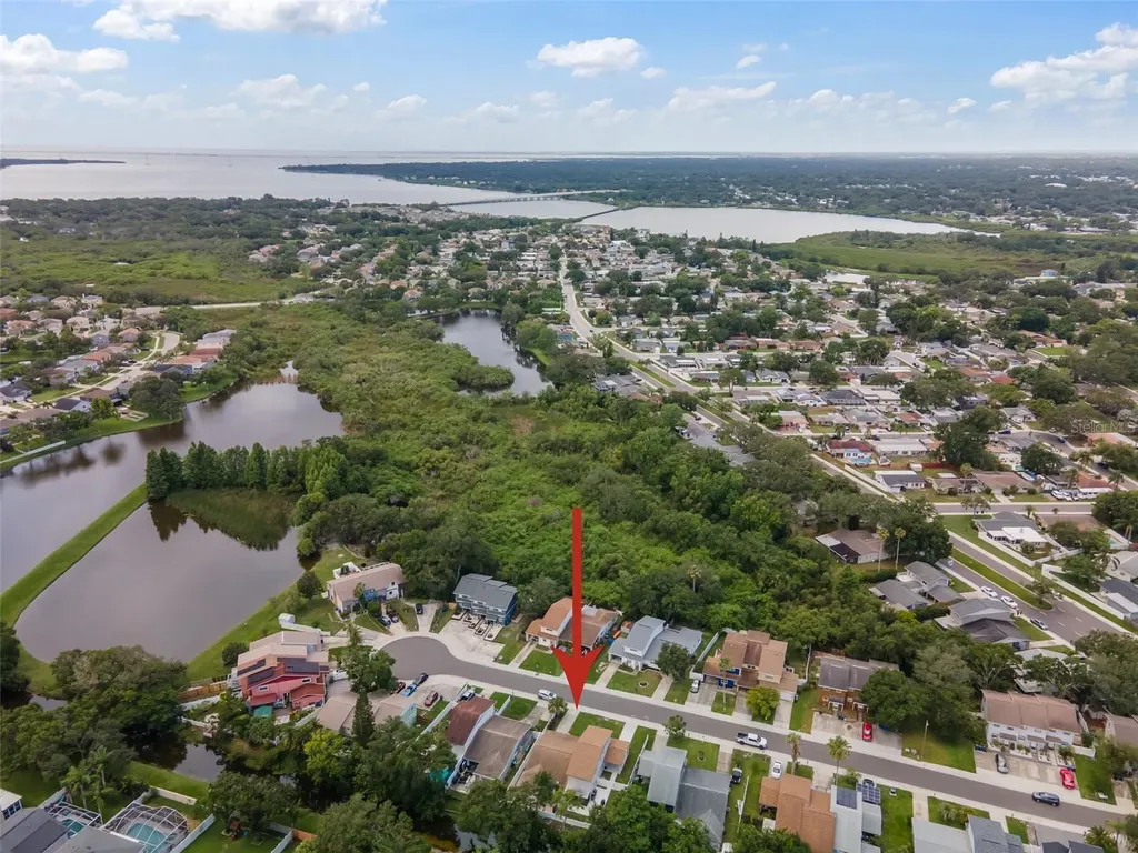 1712 Azalea Court Oldsmar FL 34677